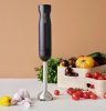 RIG-TIG by Stelton FOODIE Blender Ręczny - Czarny